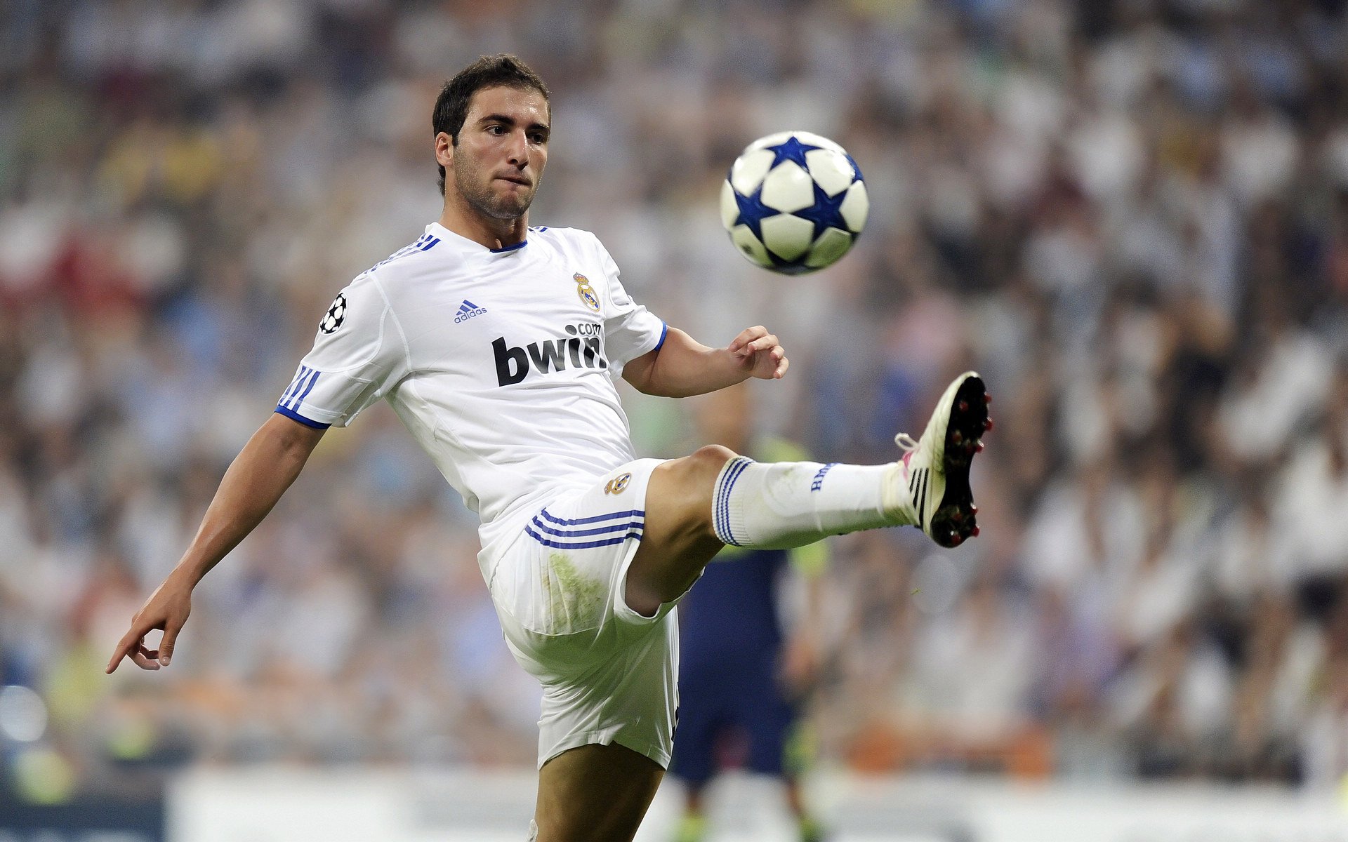 骑士完胜勇士？武切维奇跨界德甲争冠战！一场体育迷的思维狂欢与隐喻盛宴